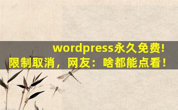 wordpress永久免费!限制取消，网友：啥都能点看！